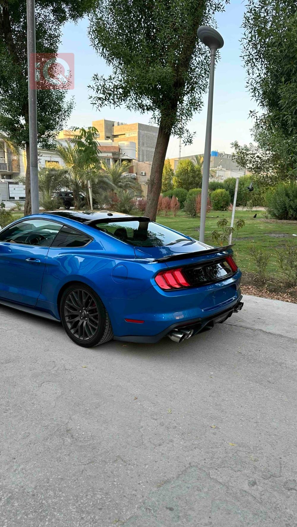 فورد موستانج